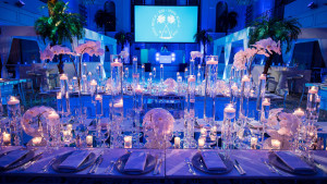 583 Park Ave event, diana gould, stillwell events, total entertainment bar mitzvah