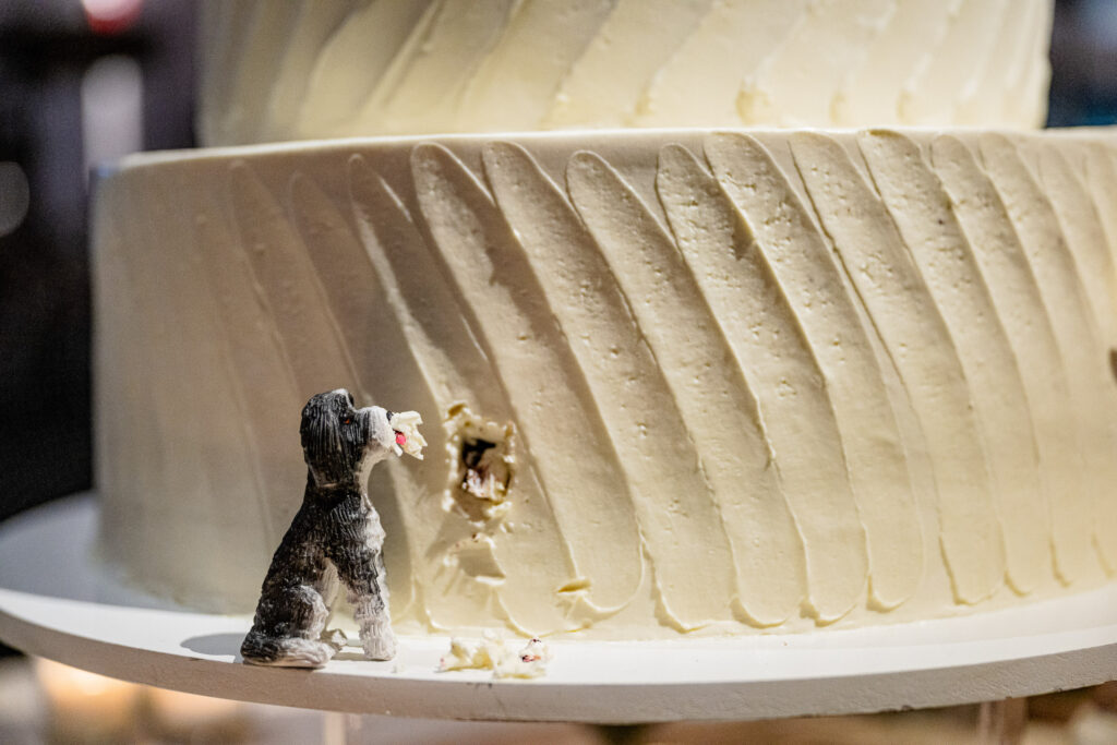 (c)Andre Maier    www.andremaier.com