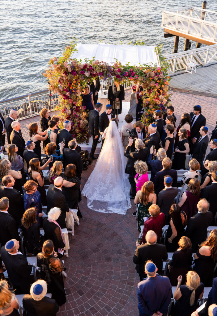 ali alex selects 056