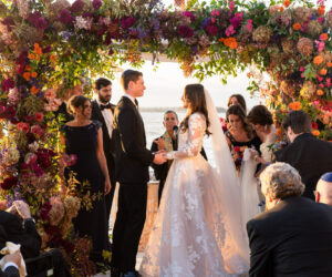 (c)Andre Maier    www.andremaier.com