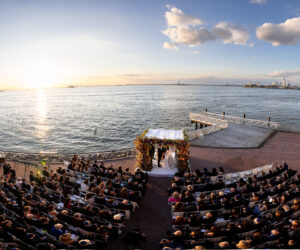 ali alex selects 059