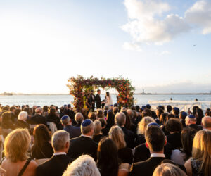 (c)Andre Maier    www.andremaier.com