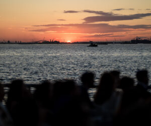 ali alex selects 062