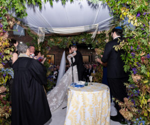 ali alex selects 065