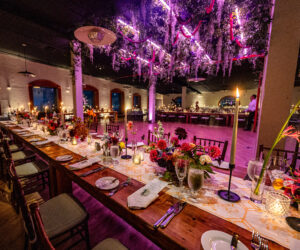 ali alex selects 072