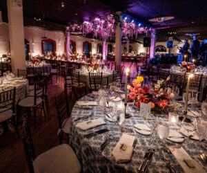 ali alex selects 073