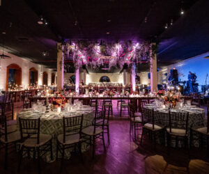 ali alex selects 074