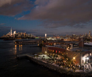 ali alex selects 077