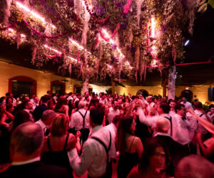 ali alex selects 116