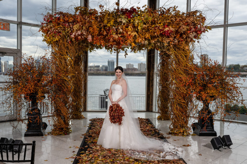 (c)Andre Maier    www.andremaier.com