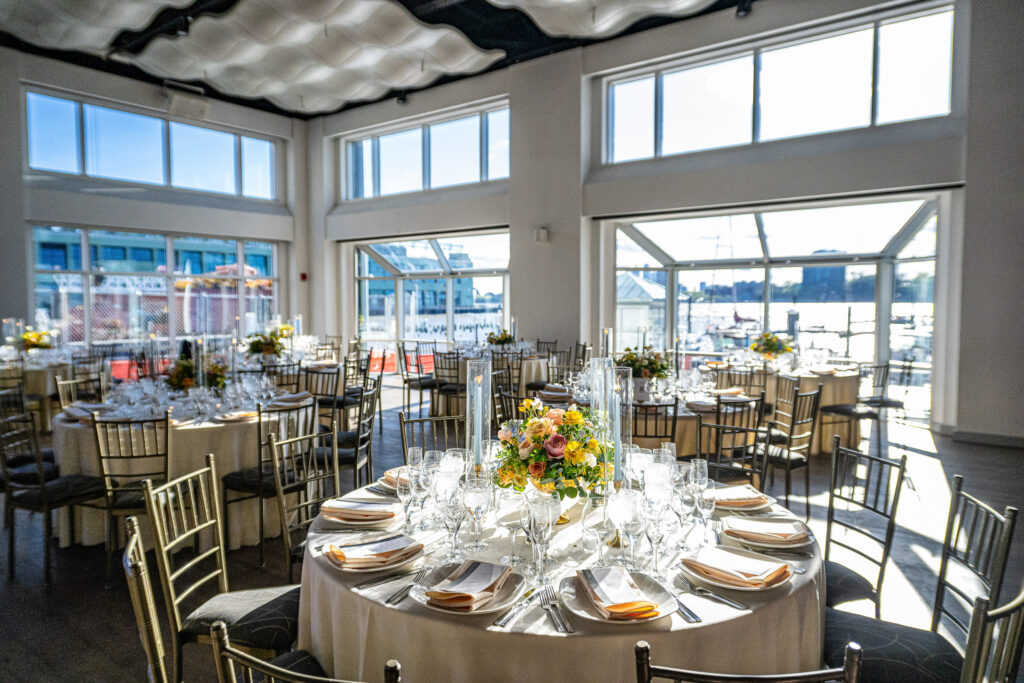 (c)Andre Maier    www.andremaier.com