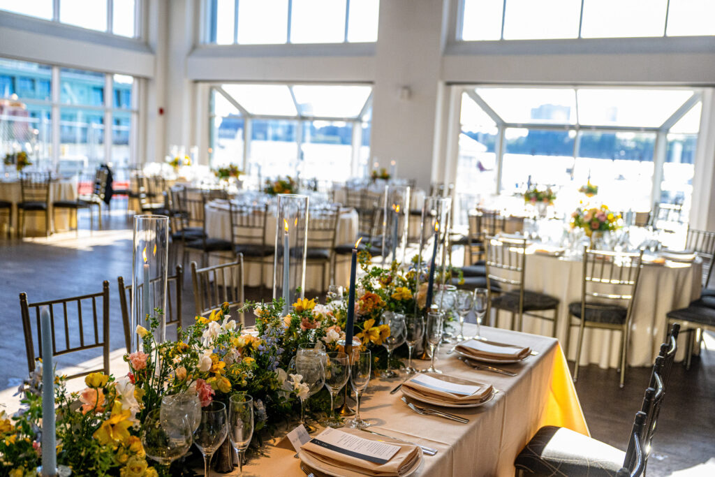 (c)Andre Maier    www.andremaier.com