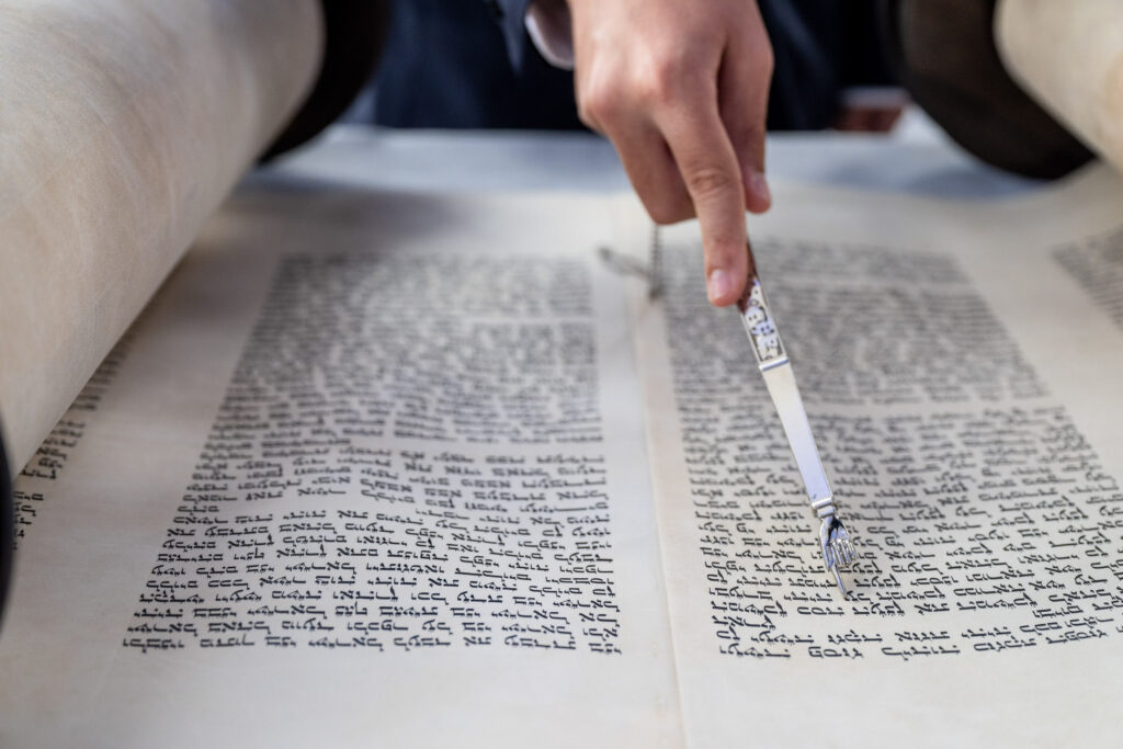 (c)Andre Maier    www.andremaier.com