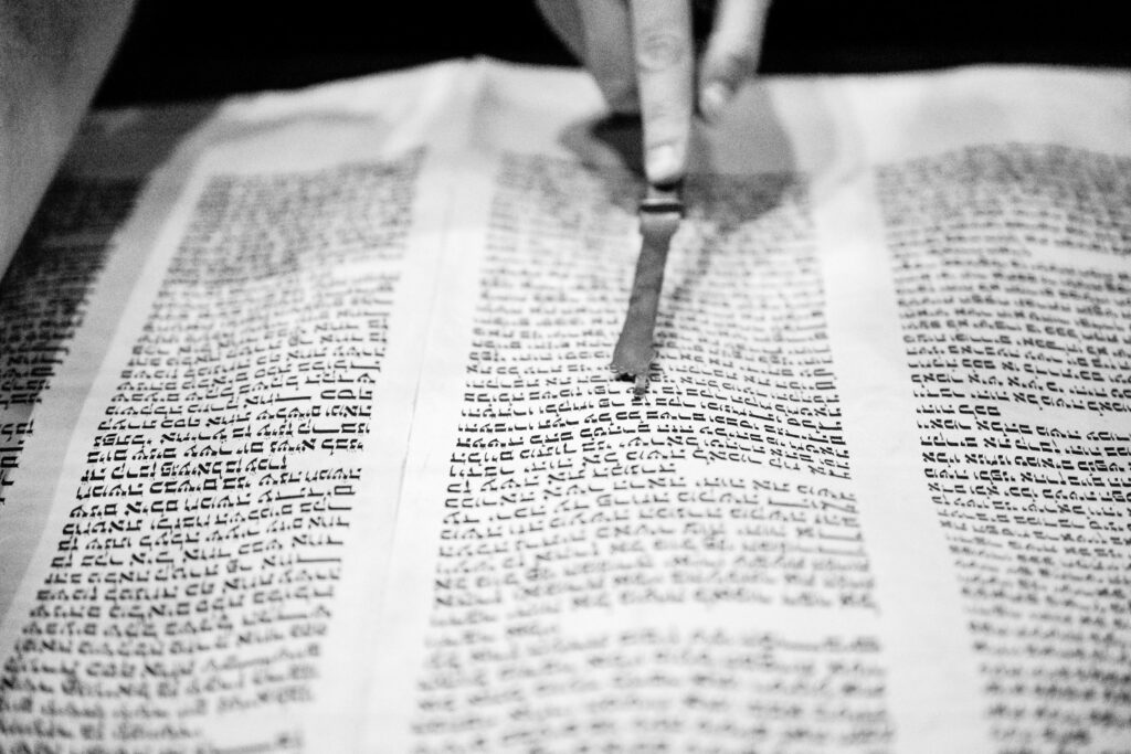 (c)Andre Maier    www.andremaier.com