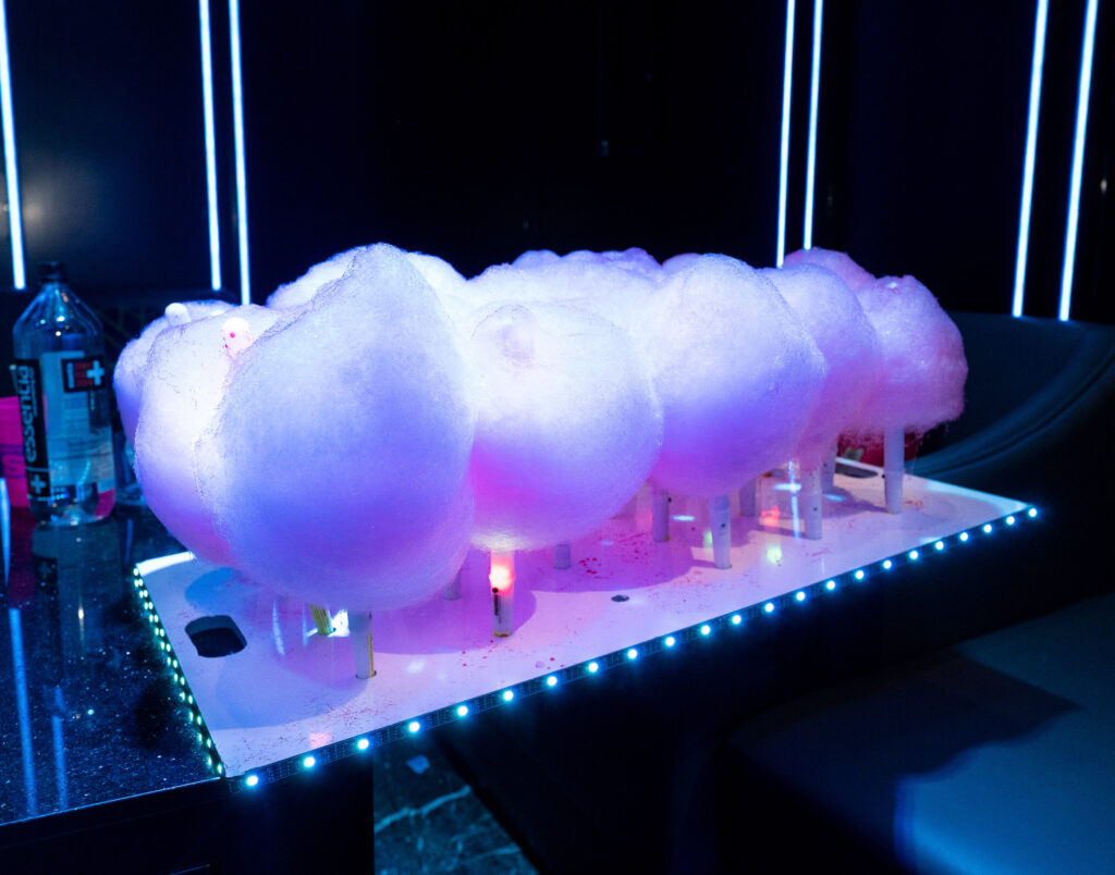 (c)Andre Maier    www.andremaier.com