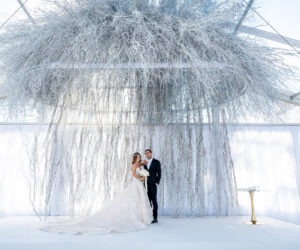 (c) Andre Maier   www.andremaier.com