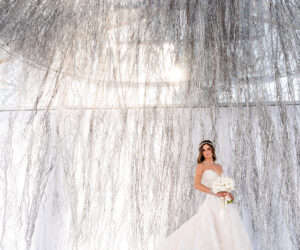 (c) Andre Maier   www.andremaier.com