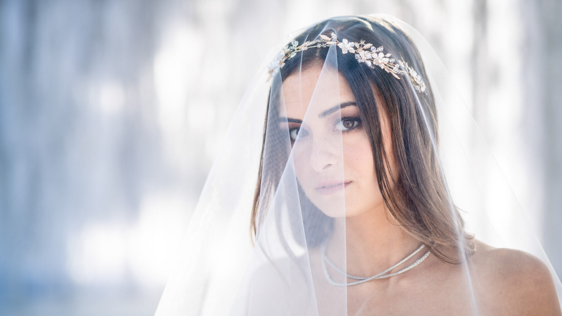 (c)Andre Maier    www.andremaier.com