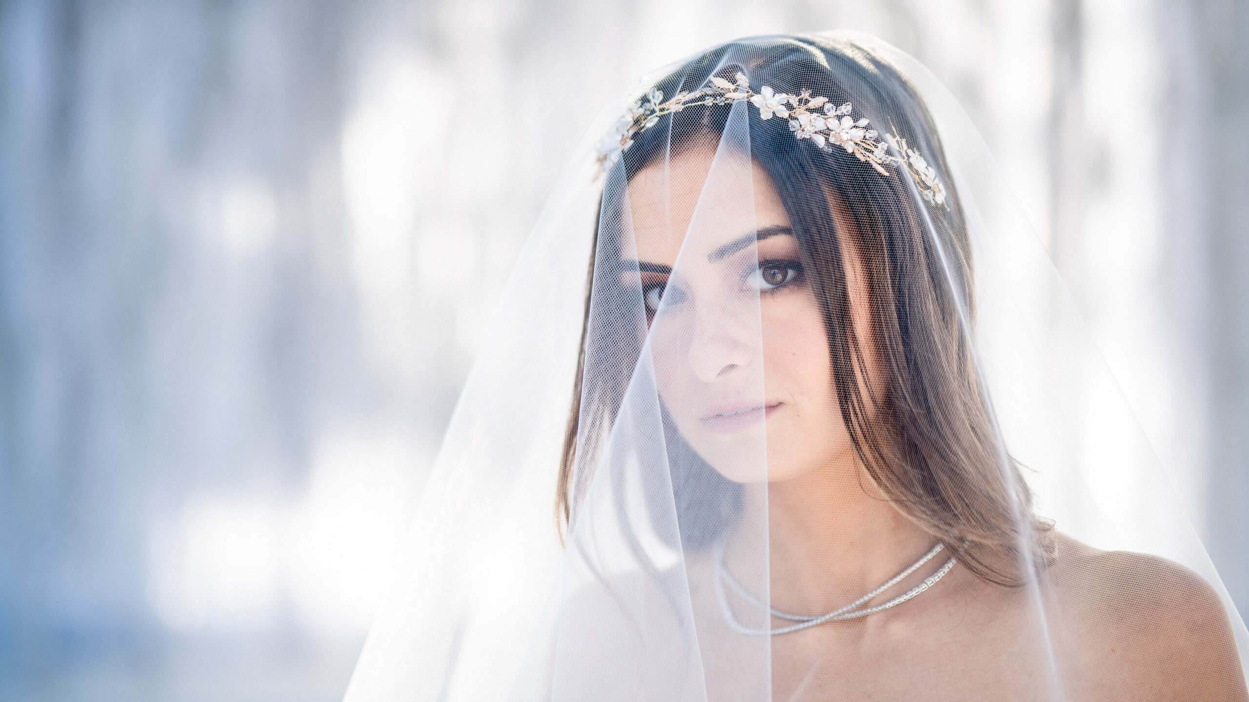 (c)Andre Maier    www.andremaier.com