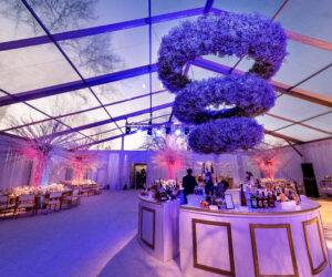 (c) Andre Maier   www.andremaier.com