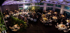 (c)Andre Maier    www.andremaier.com