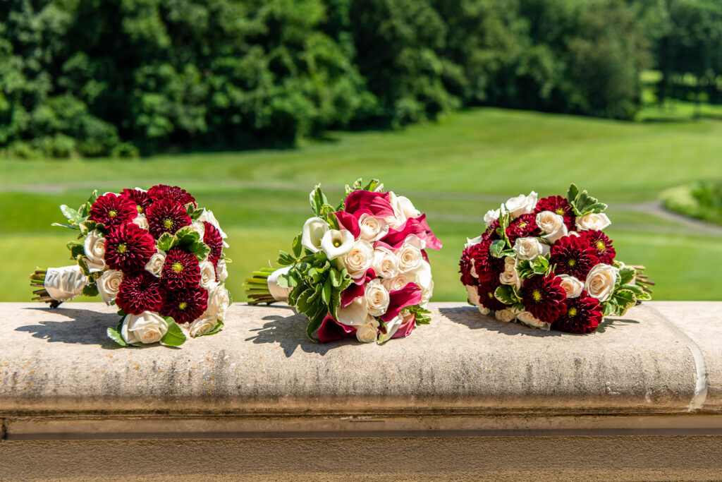 (c)Andre Maier    www.andremaier.com