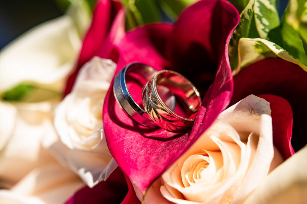 (c)Andre Maier    www.andremaier.com