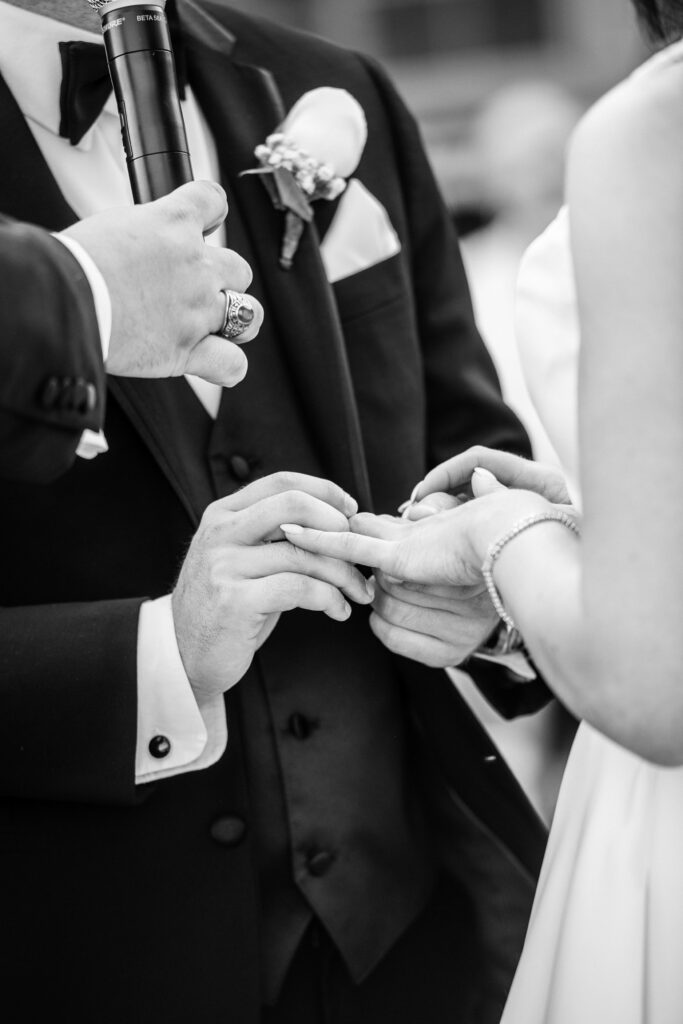 (c)Andre Maier    www.andremaier.com