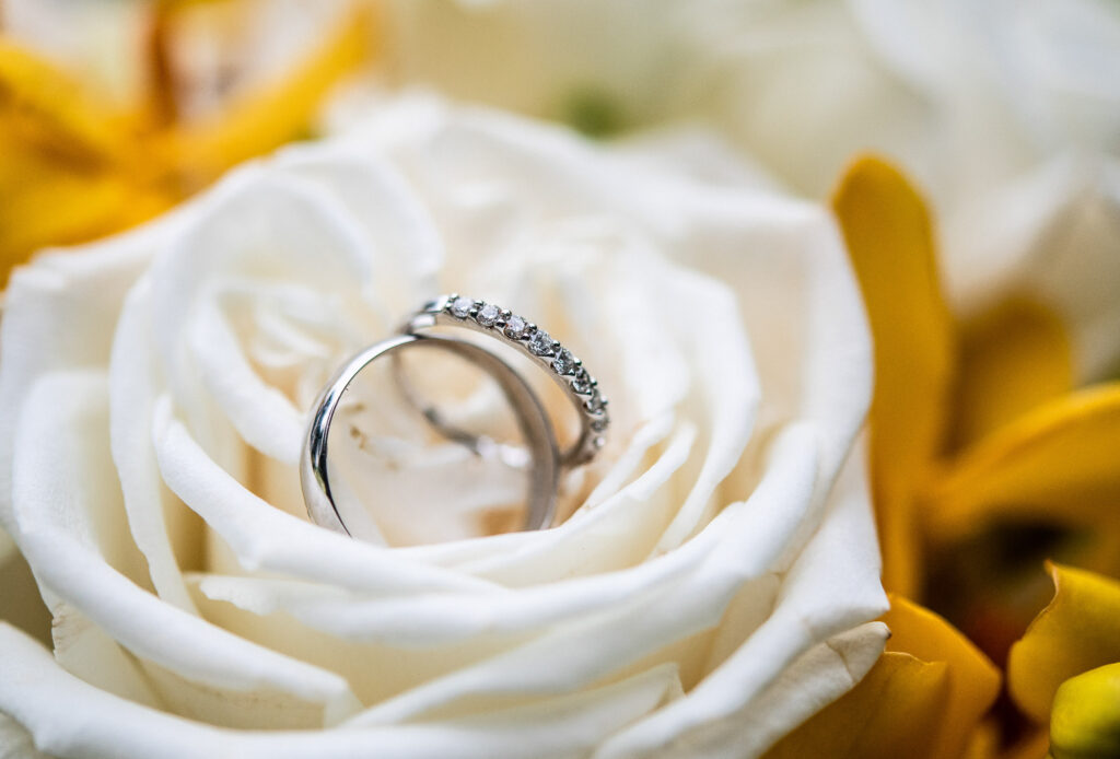 (c)Andre Maier    www.andremaier.com