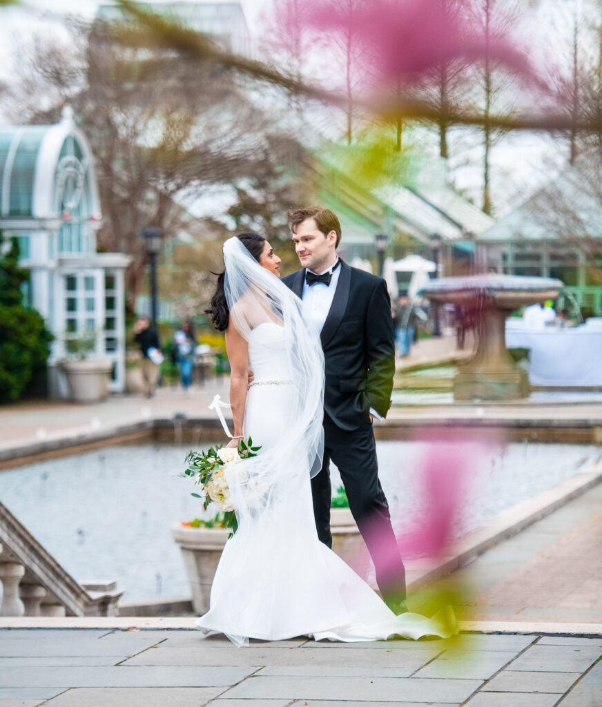 (c)Andre Maier    www.andremaier.com