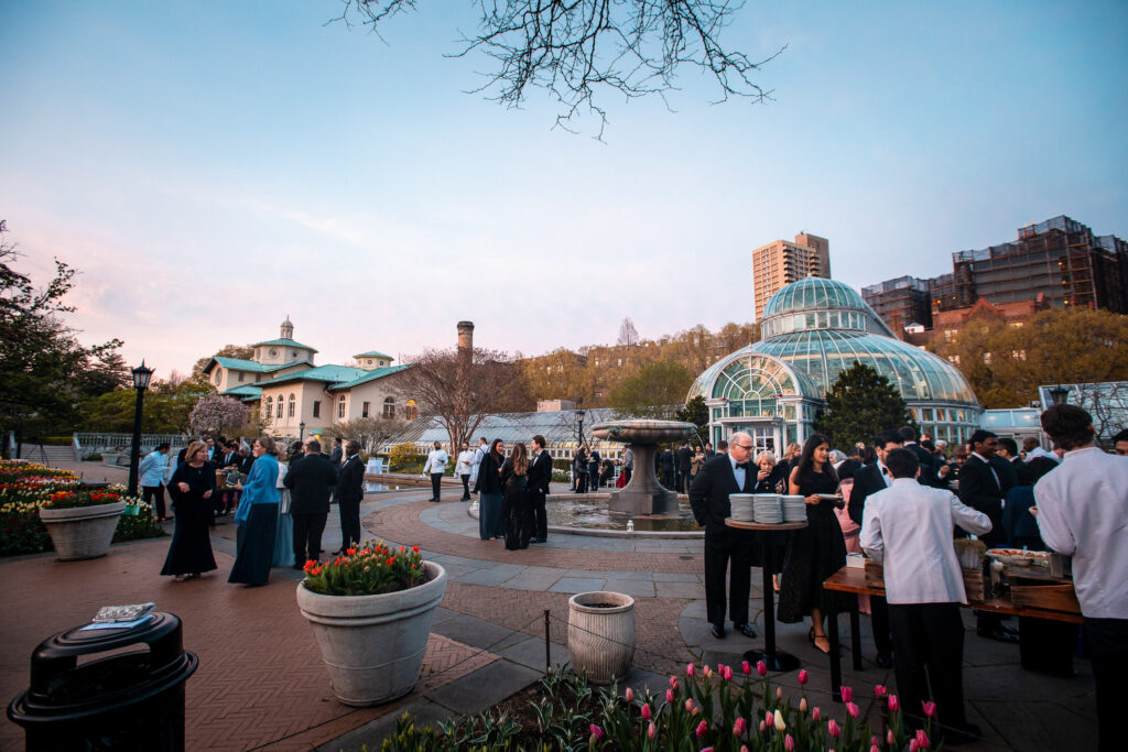 (c)Andre Maier    www.andremaier.com