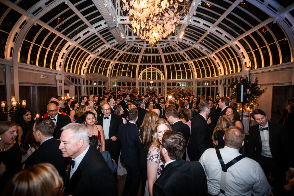 (c)Andre Maier    www.andremaier.com