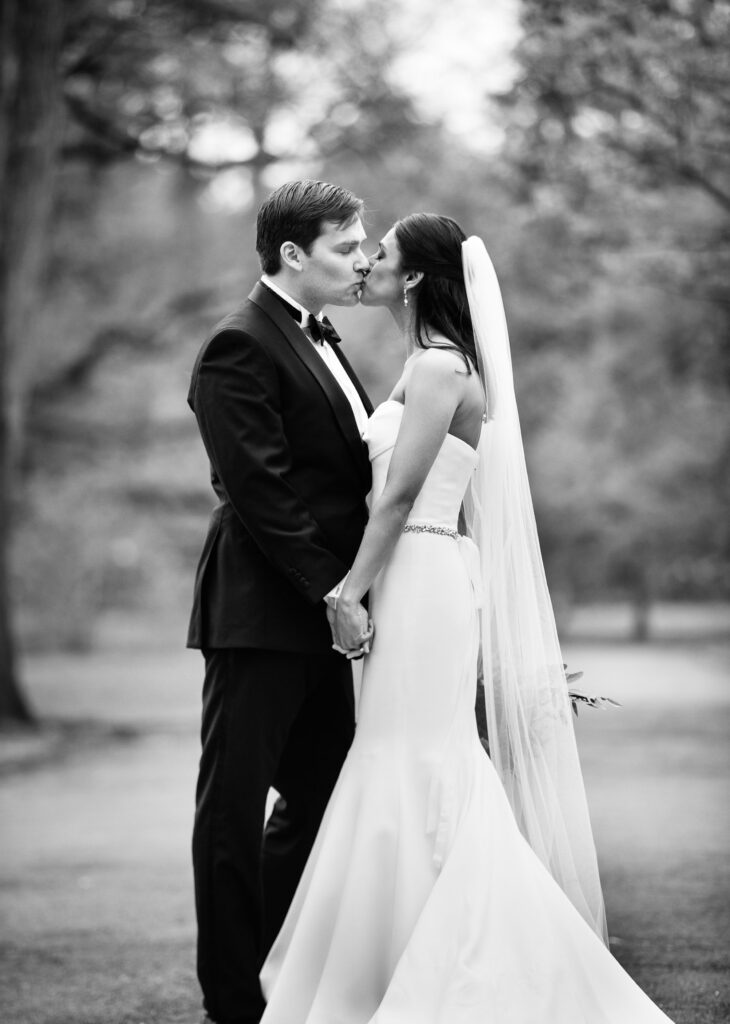 (c)Andre Maier    www.andremaier.com