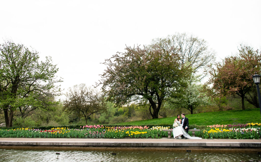 (c)Andre Maier    www.andremaier.com